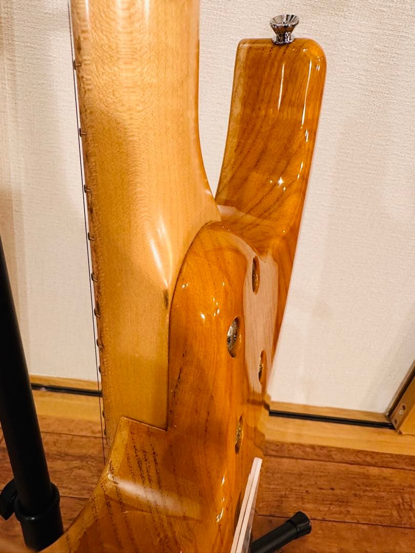 ギター Schector SD-2-24 ASH