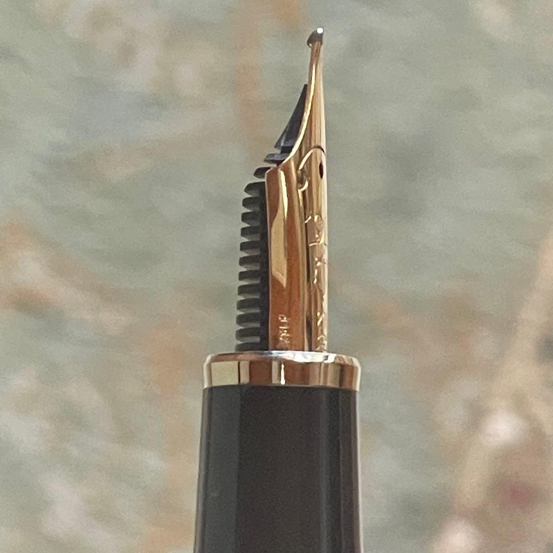 セーラー万年筆 プロフィット21金 旧刻印　N MF 〔中細字〕