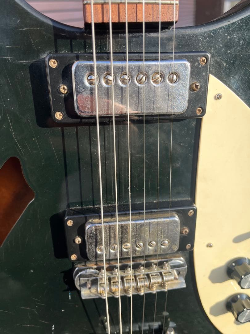 Honey リッケンバッカーモデル