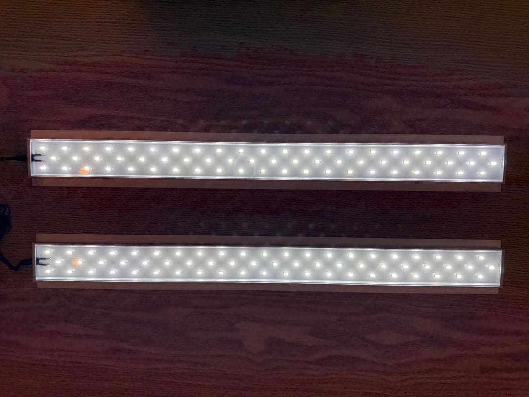 fff　co2 ライトセット