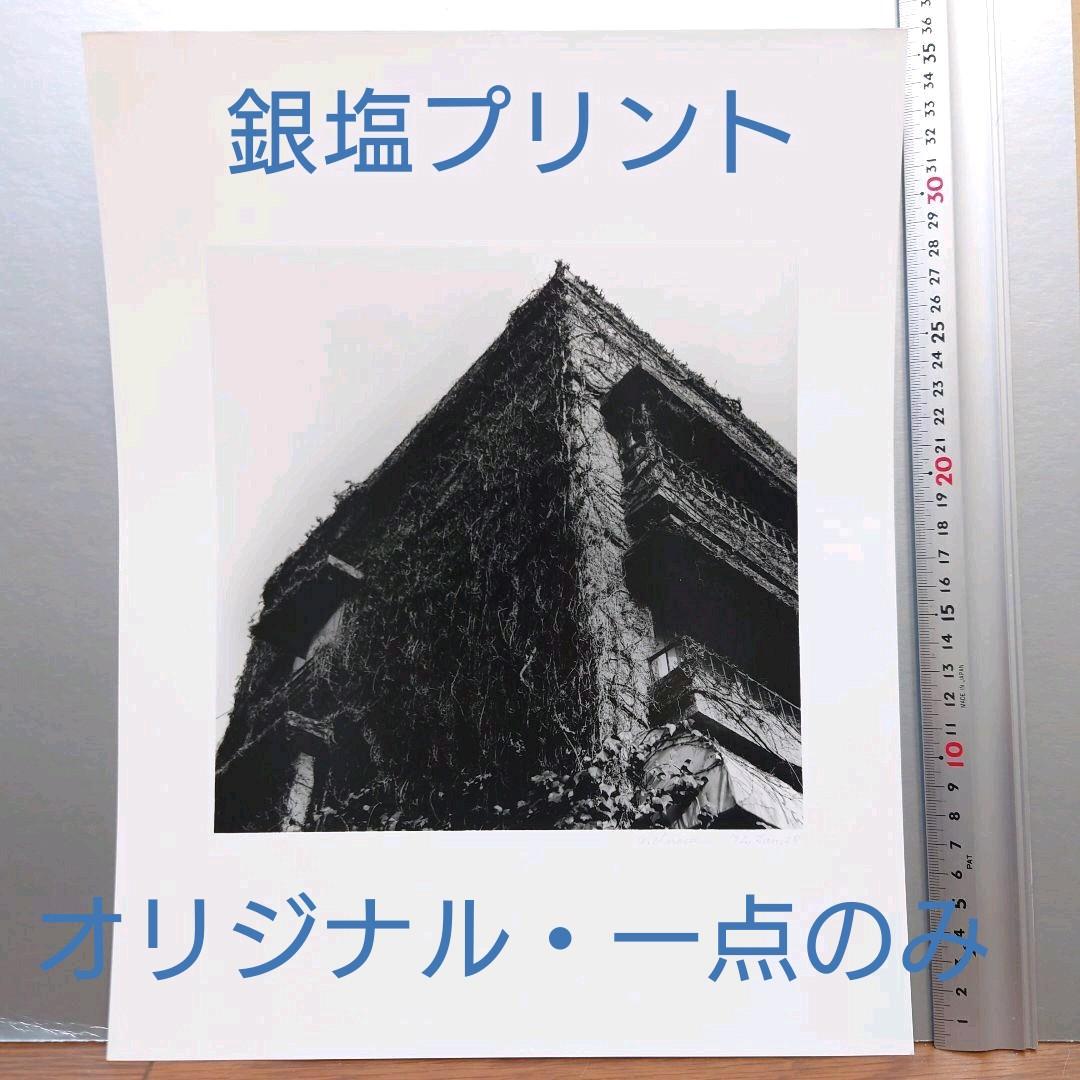 銀塩プリント・一点のみ　井上治（Osamu Inoue）フォトアート作品　静物