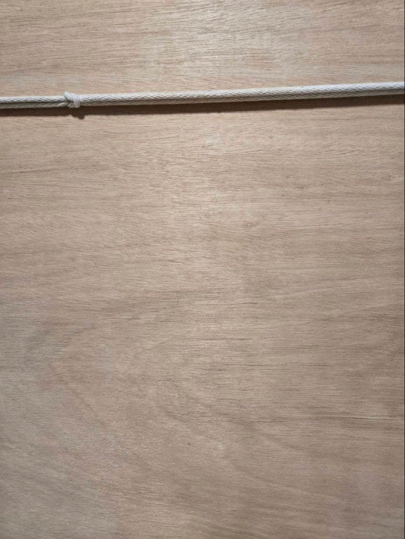 クリスチャン・ラッセン セレニティー　ミクスドメディア 直筆サイン　証明書付