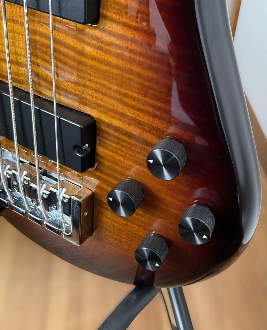 【送料込】Spector 5弦ベース「特別仕様」