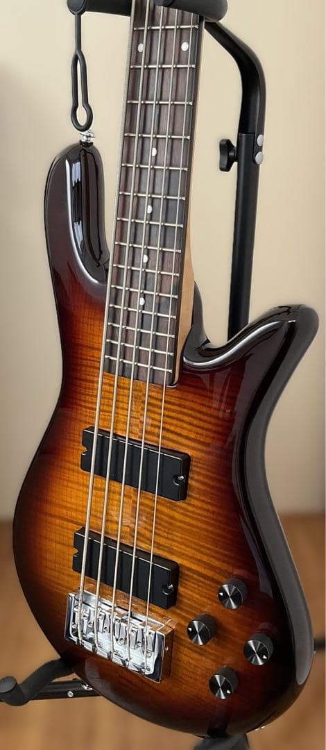 【送料込】Spector 5弦ベース「特別仕様」