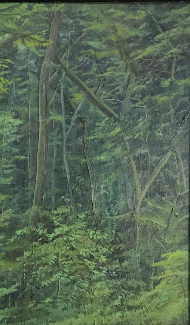 森の絵　油絵　サイズF10号　サイン付き