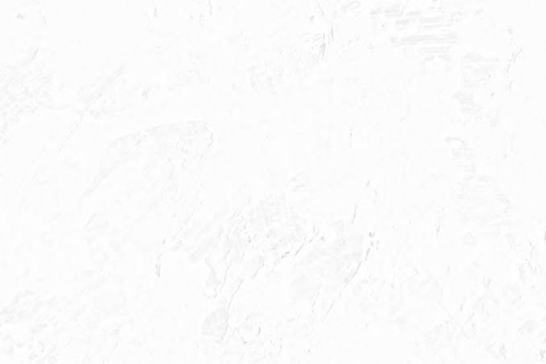 タコスさん専用　アナカラーインターステラ