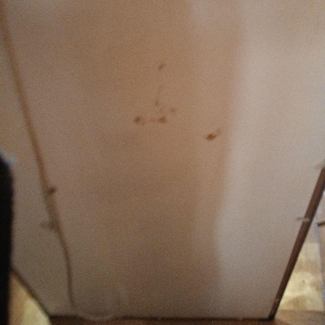 ディズニー ミッキー ミニー ジグソーパズル