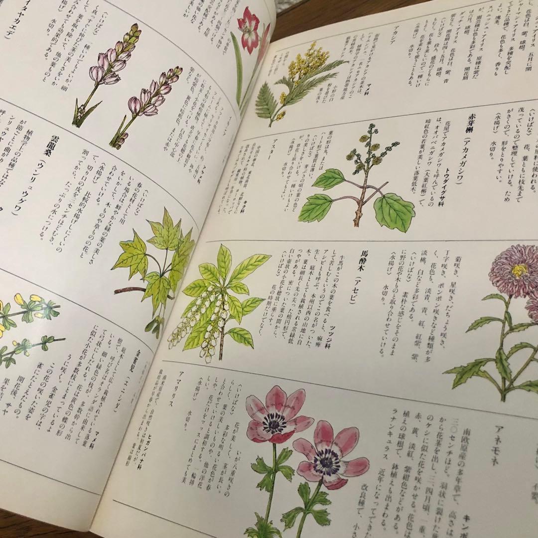 小さないけばな 春夏秋冬 全4巻セット 勅使河原霞