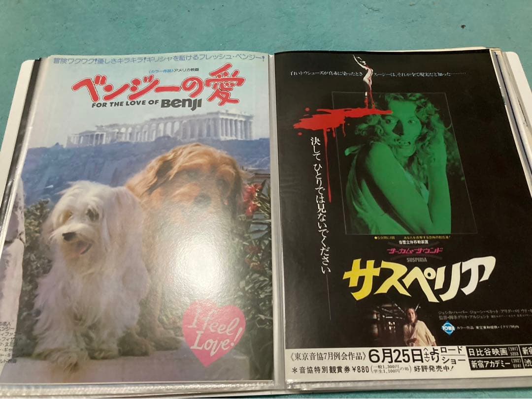 映画　チラシ　昭和　洋画など　80枚　まとめ売り　フォルダー入り③