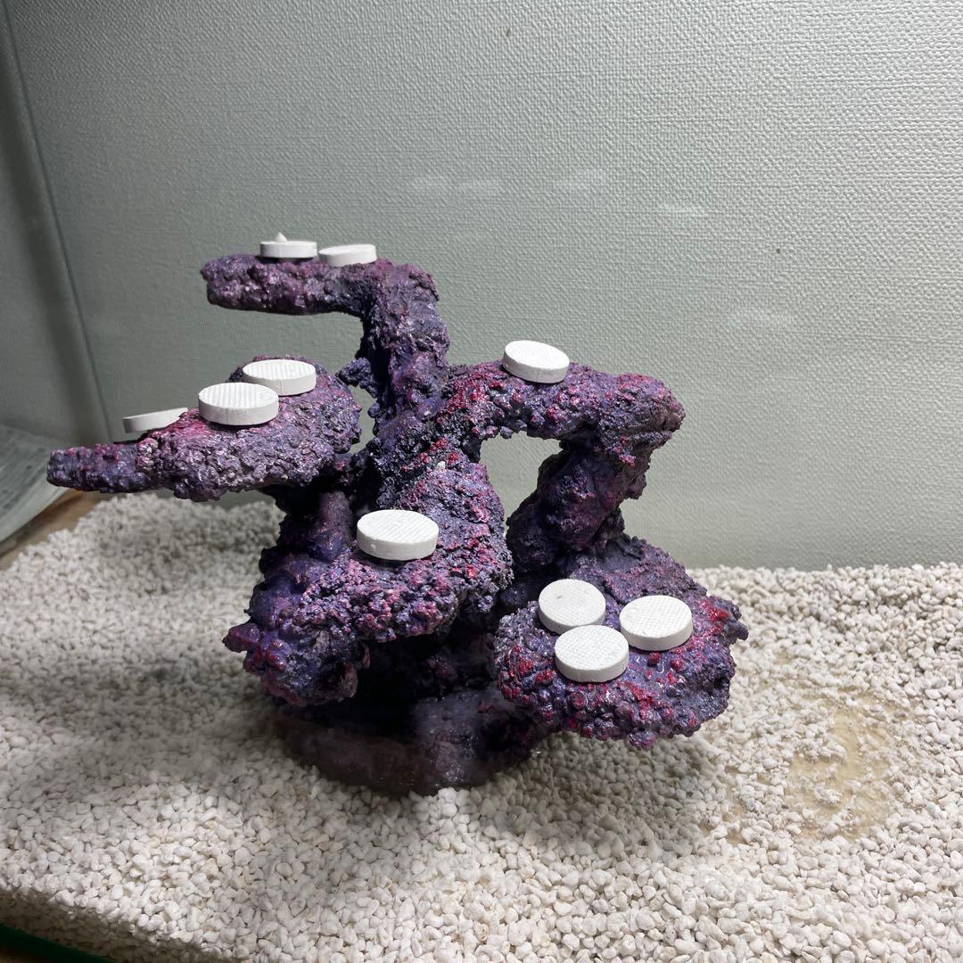 【送料無料】人工ライブロック　PHR01／10穴加工　アク抜き済み安心塗料使用