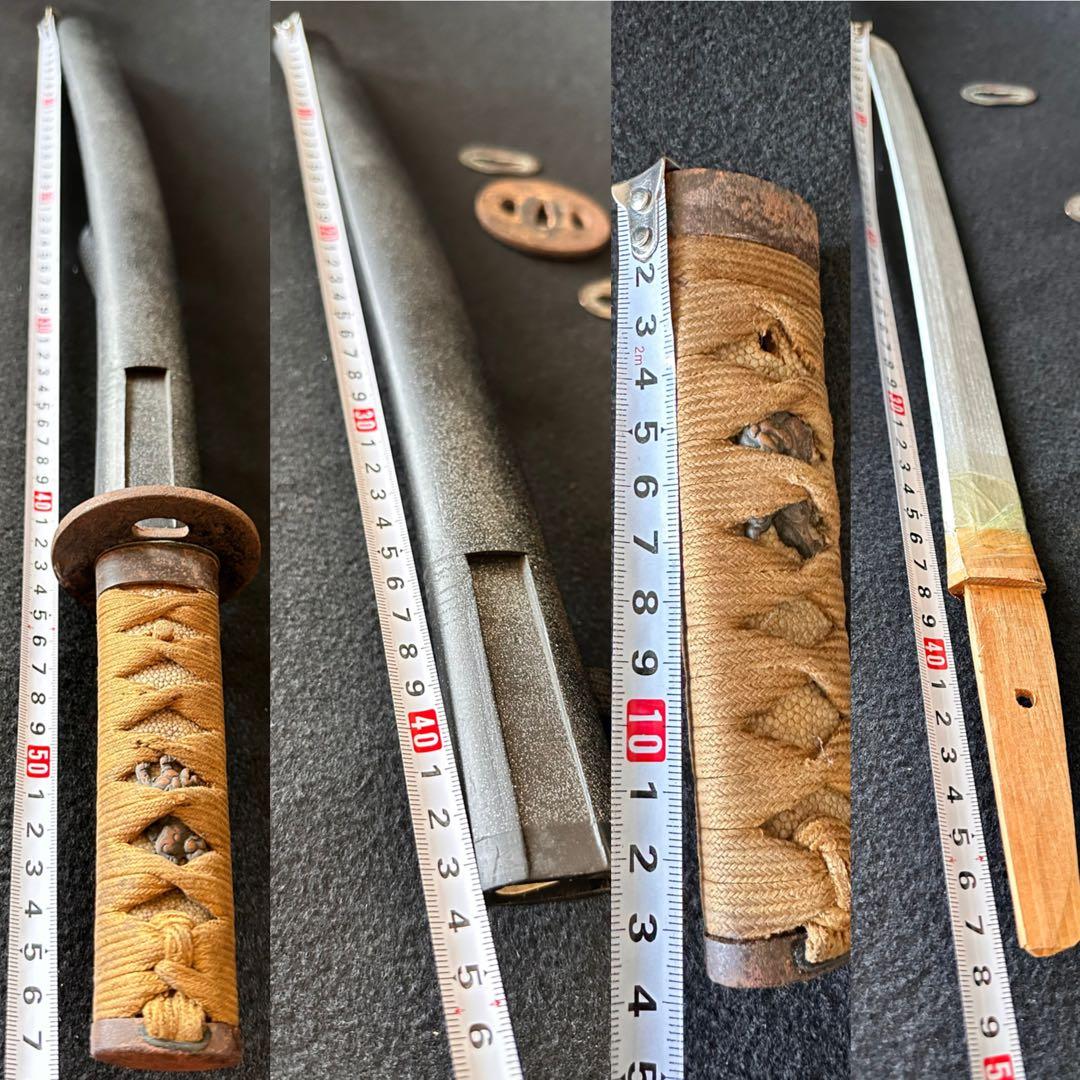 刀装具　 脇差　拵え　鉄地蛙図鍔　獅子目貫　時代 武具　 骨董　古美術　現状B