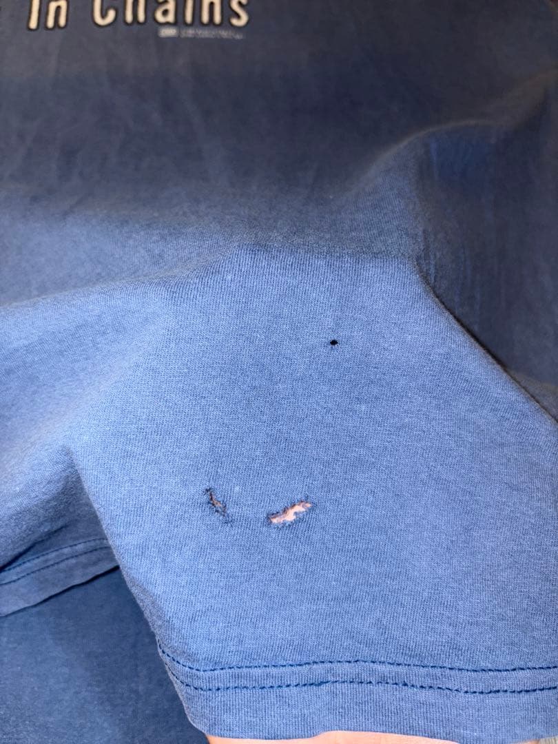 希少 90’s Alice In Chains バンドTシャツ ヴィンテージ