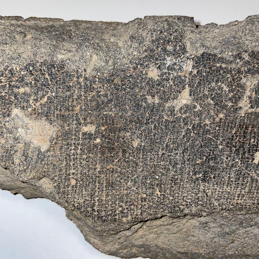 古瓦　多賀城　軒平瓦