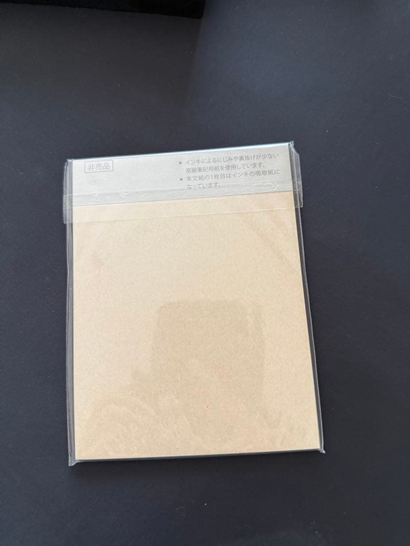 PILOT Custom 743 万年筆 sf お値下げ依頼はコメント下さい