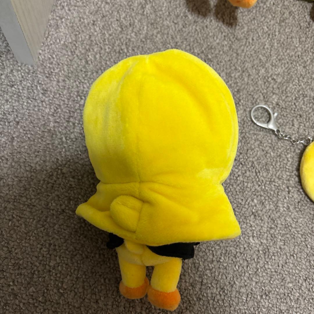 straykids フィリックス ぽがり まとめ売り