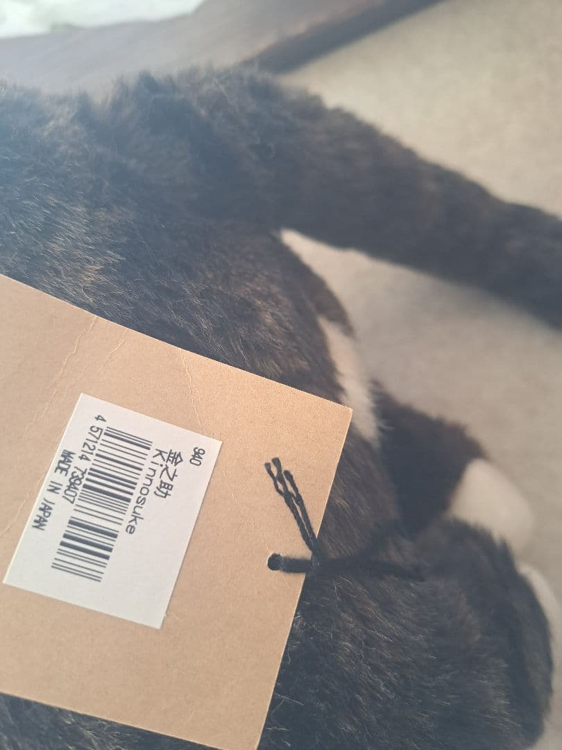 カドリー　猫　金之助