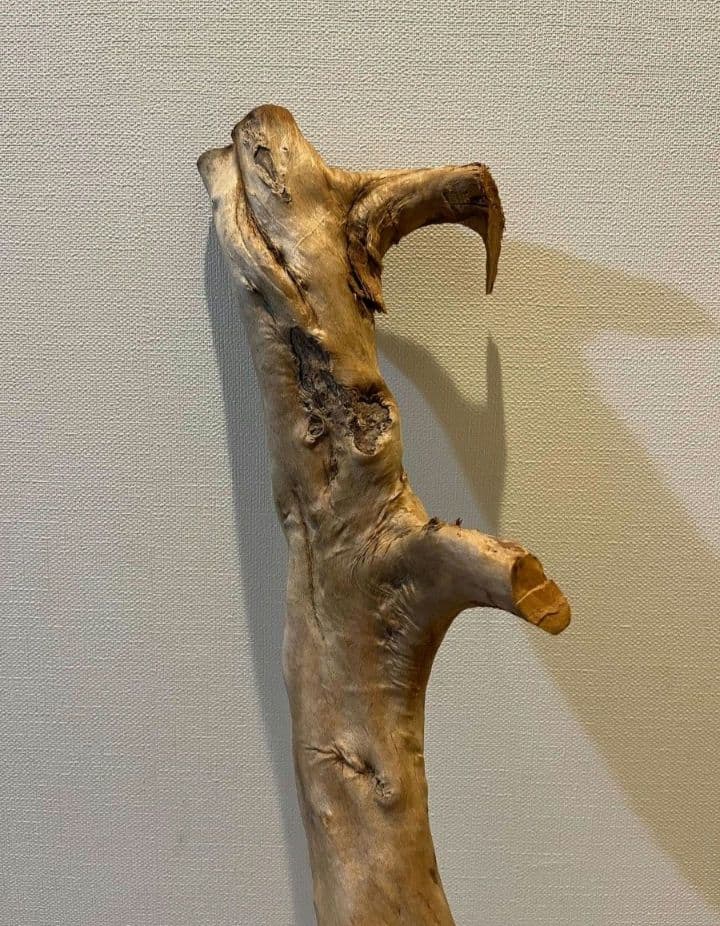 流木　止まり木　約82センチ