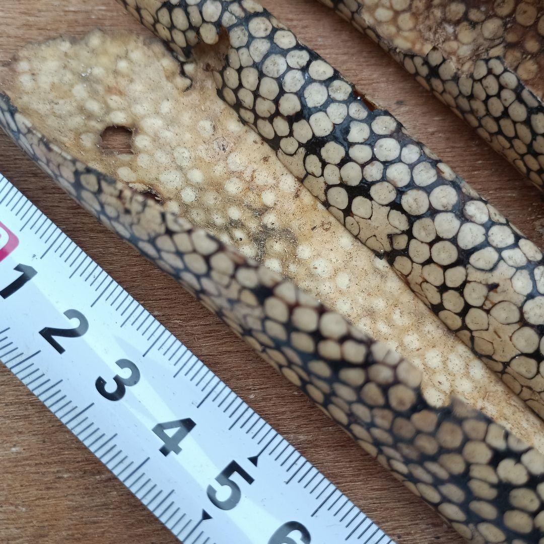 4072)刀の鞘　他部品　まとめて　鮫皮？