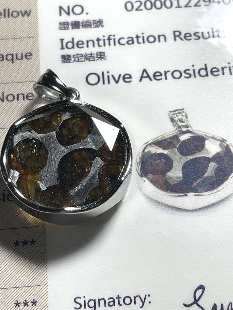 【新入荷】パラサイト隕石ペンダントトップ（新品未使用）鑑定書付き六芒星セリコ隕石