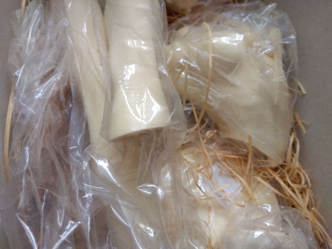 ●空山基 キューティーハニー 1/4 ボークス ガレージキット フィギュア