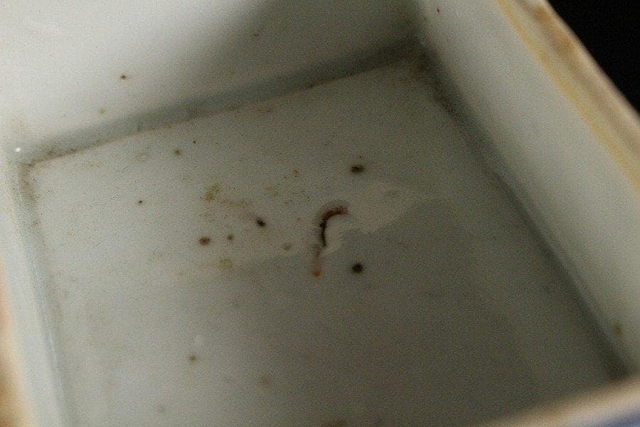 中国美術 青花 草花紋 四方 香合 蓋物 茶道具伝来 清 旧家蔵出