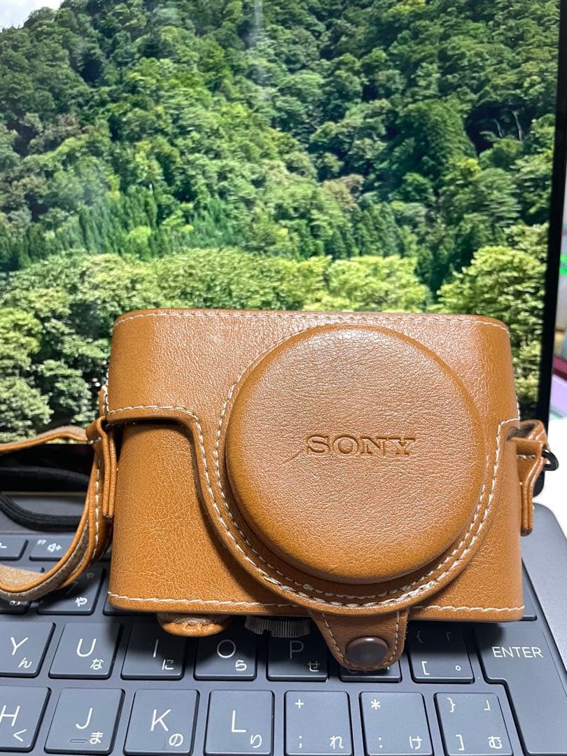 SONY DSC-WX350 コンパクトデジタルカメラ