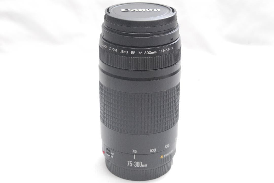 CANON ZOOM LENS EF 75-300mm 1:4-5.6 Ⅱ