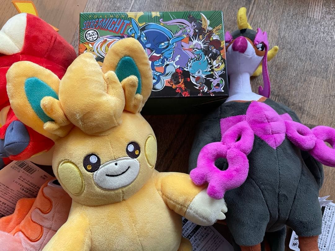 ポケモンセンターピカピカBOXタグ付き　ポケモン　匿名発送　ホゲータ　クリスマス