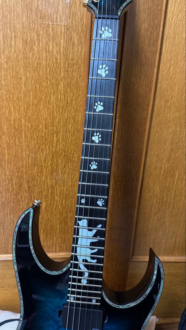 ギター Ibanez RGIX20FEQM