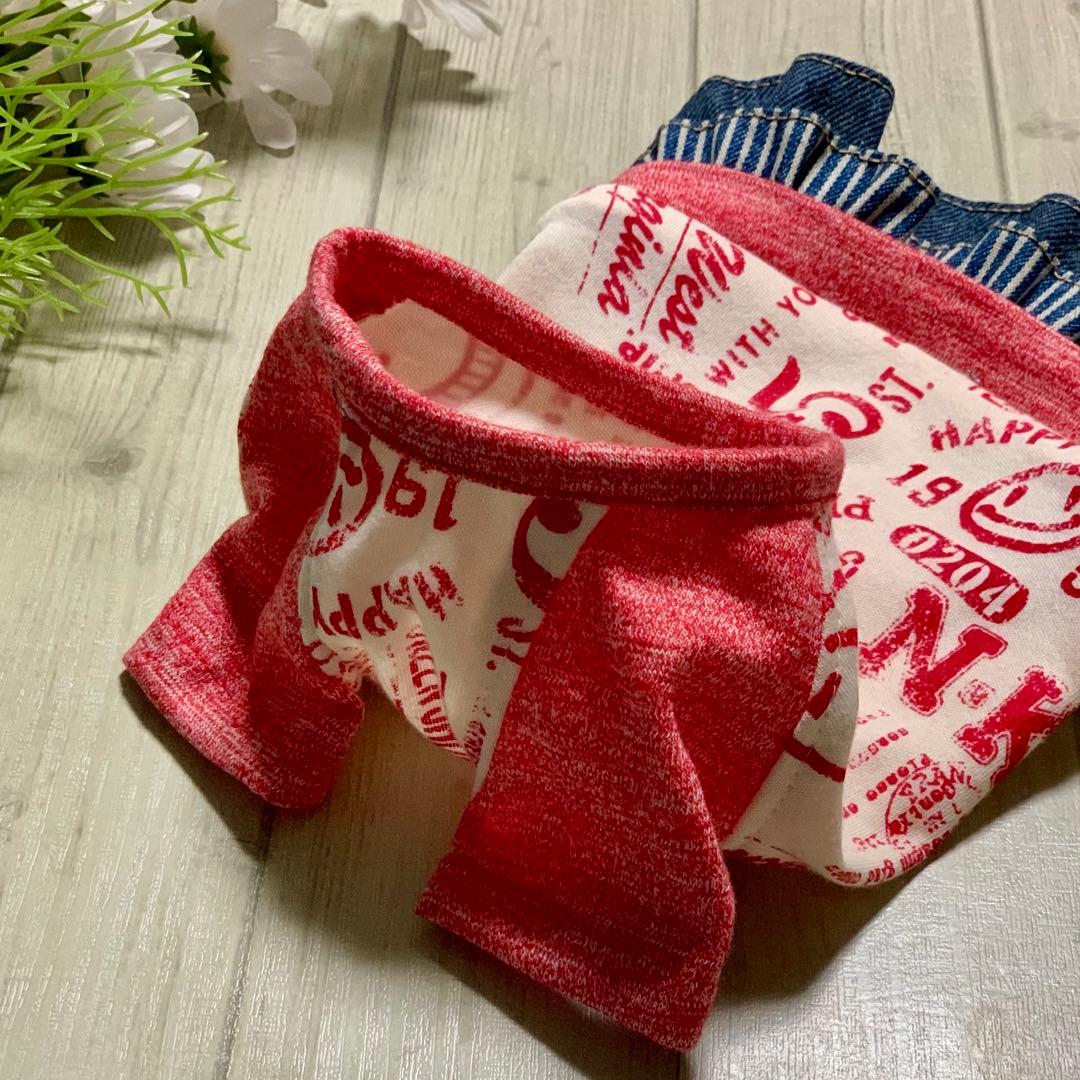 No.23 ハンドメイド犬服 ラグラン半袖Tシャツワンピース