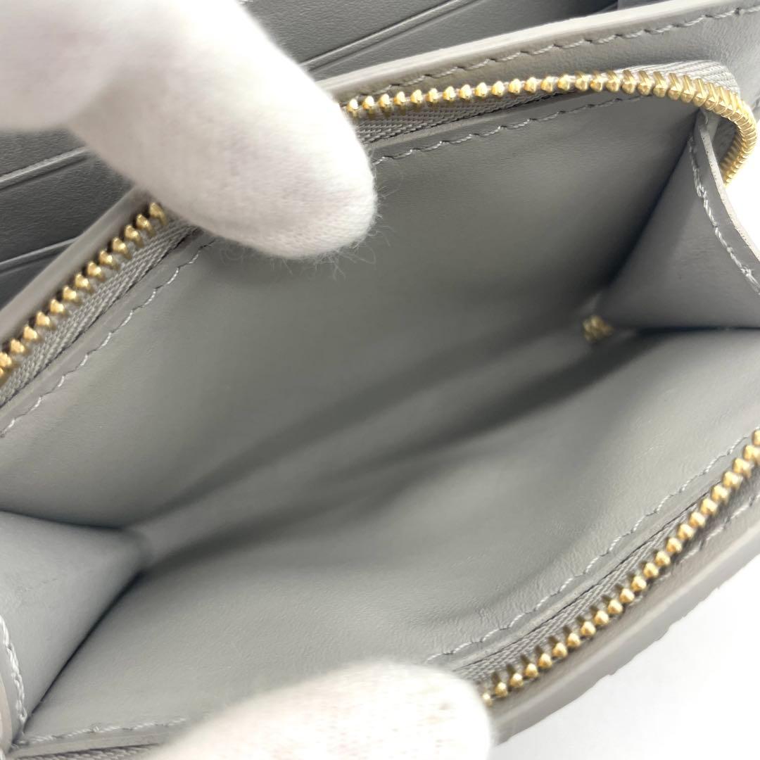 未使用！ルイヴィトン カプシーヌ タイニー グレー M12406