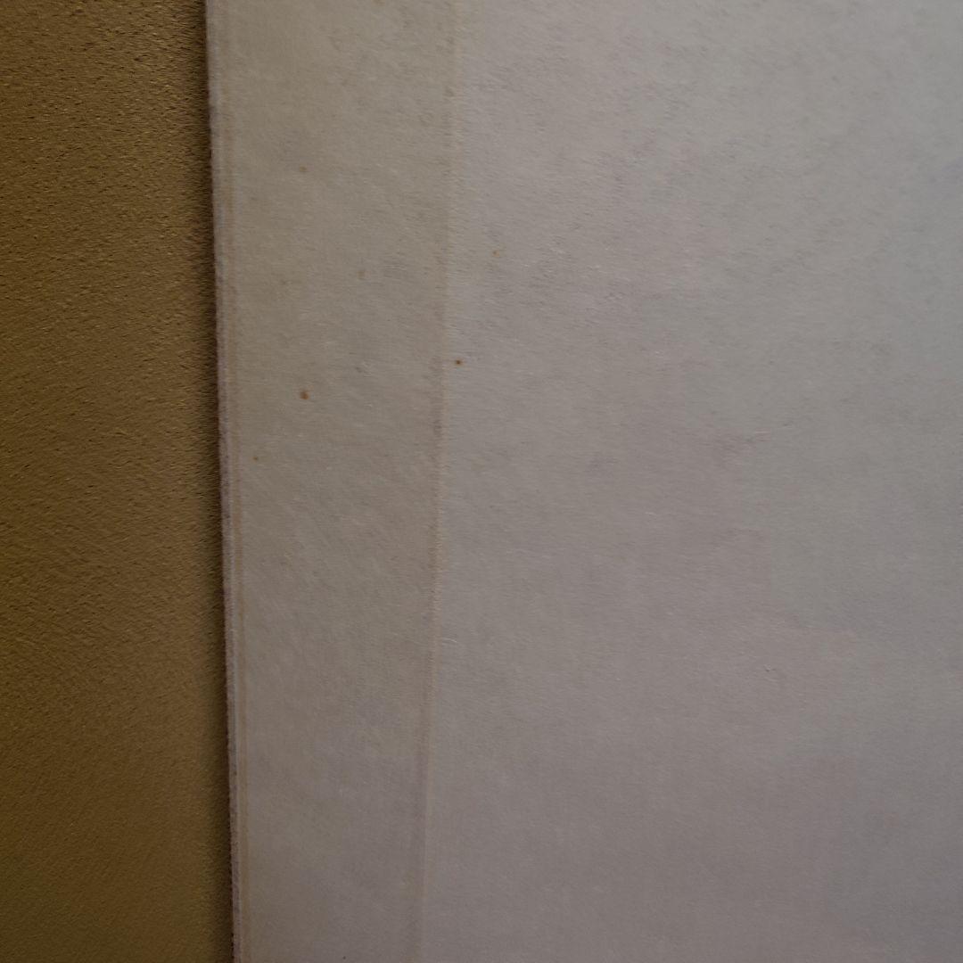 掛け軸　猛虎之図　高山邦仙　桐箱紙箱付き