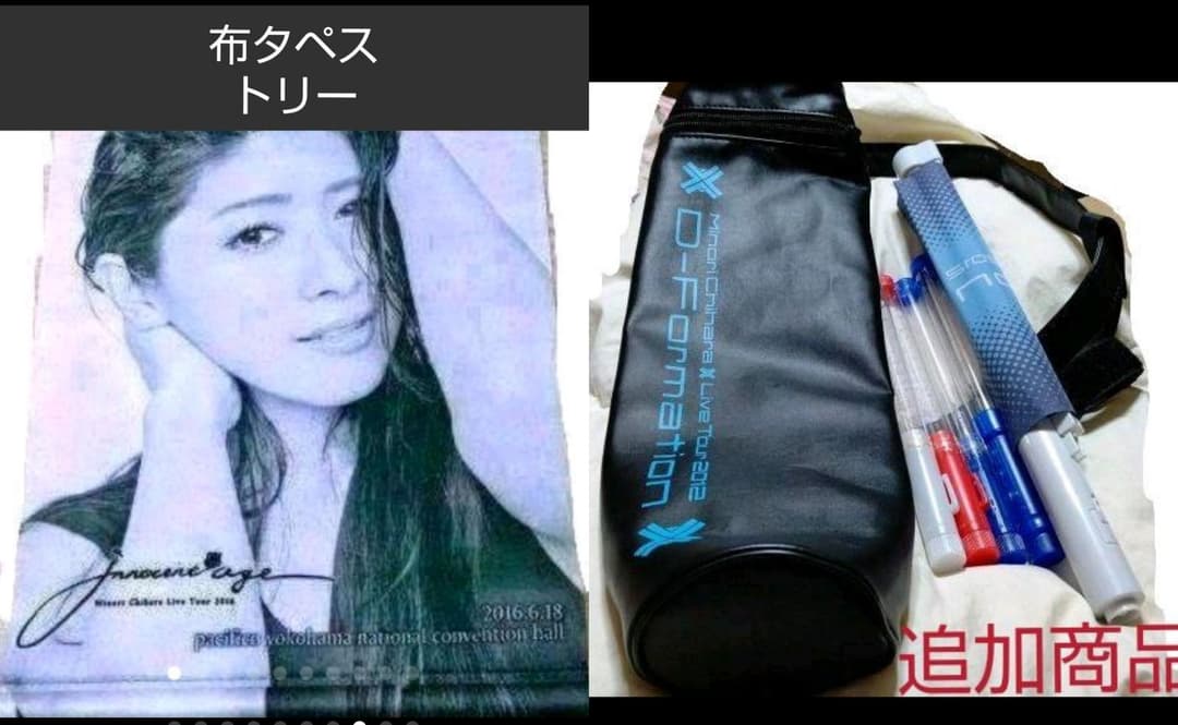 本日限定特別最終大特価◆茅原実里　LIVE&FCグッズ&非売品　大量まとめ売