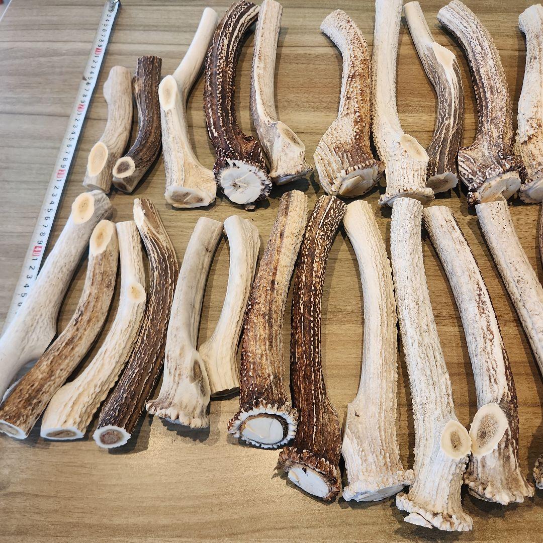 鹿の角 (特大～大サイズ)犬用おもちゃ ランダム　10kg