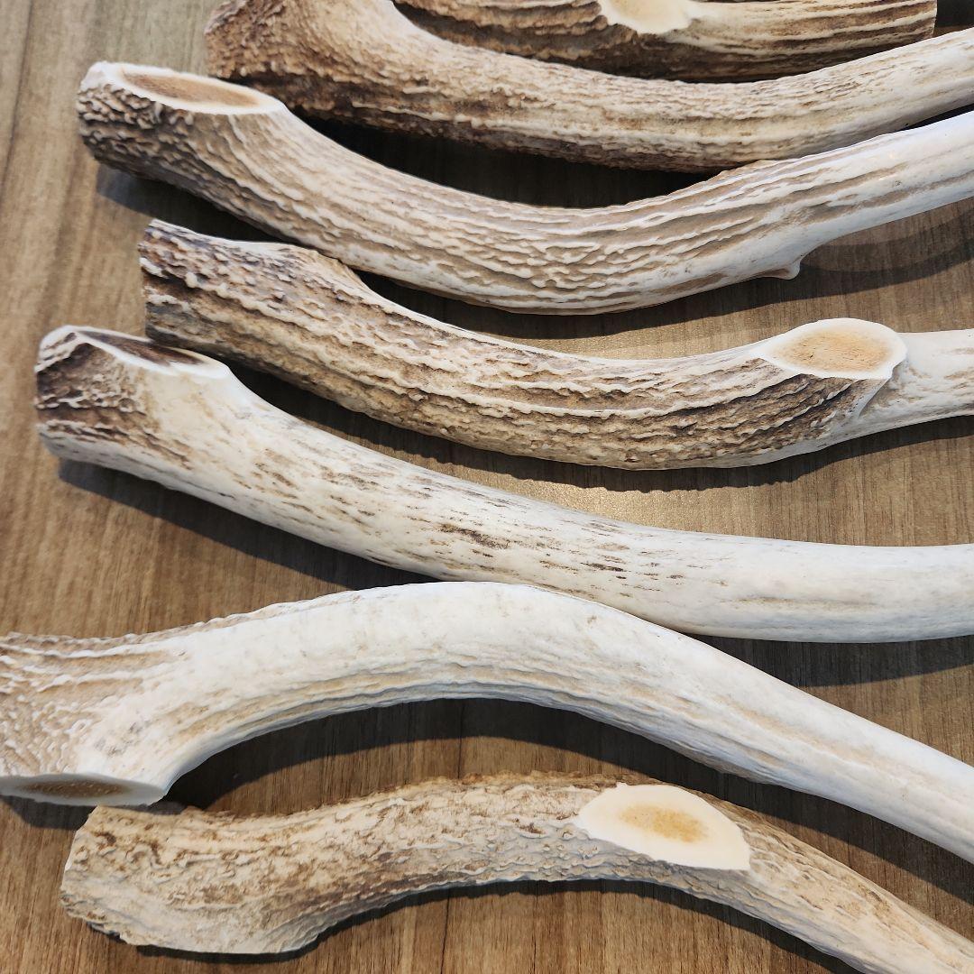 鹿の角 (特大～大サイズ)犬用おもちゃ ランダム　10kg