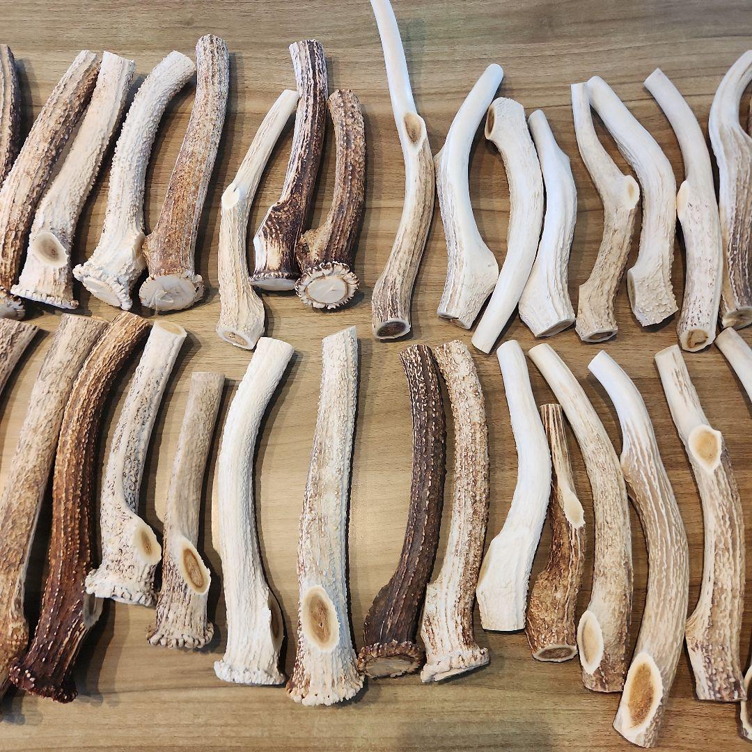 鹿の角 (特大～大サイズ)犬用おもちゃ ランダム　10kg