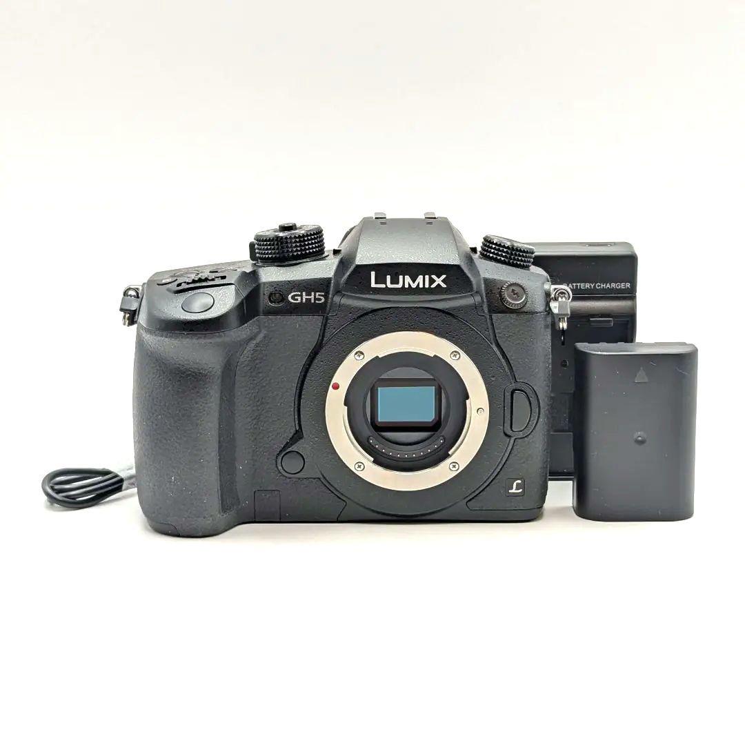 Panasonic LUMIX GH5 RD-SPM049 美品