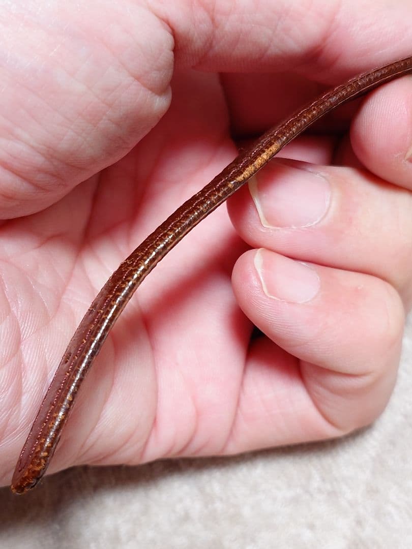 SEIKO UNIQUE （セイコー ユニーク）ミラーダイヤル 手巻き 訳あり