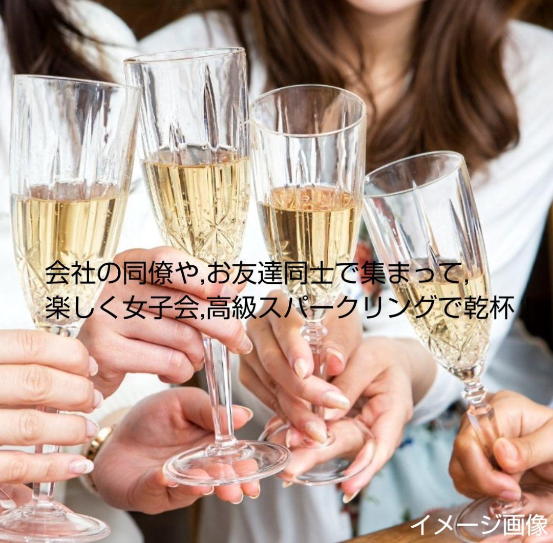 大人気の高級スパークリング (ベラヴィスタ&シャンドン&カネッラ)3本セット格安