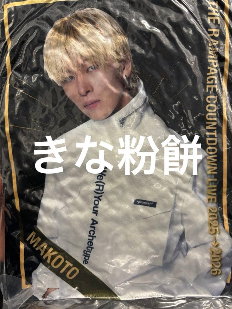 長谷川慎　クッション