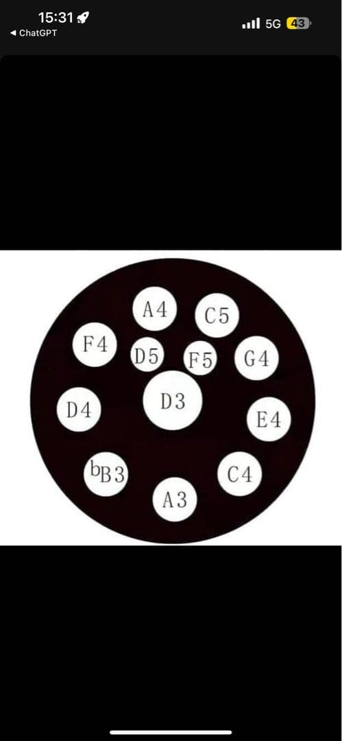 ハンドパン 12音　約56センチ　Dマイナー 楽器　ヨガ　瞑想