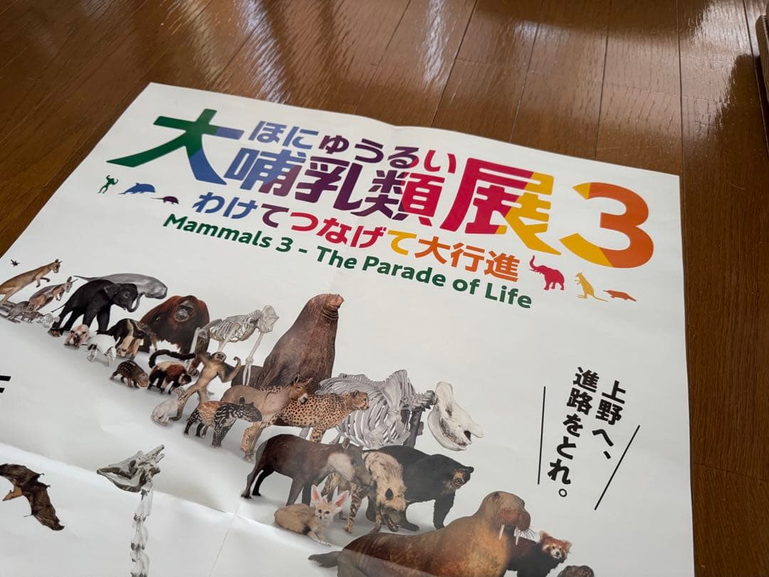 美品　大哺乳類展3 告知ポスター　カラー版