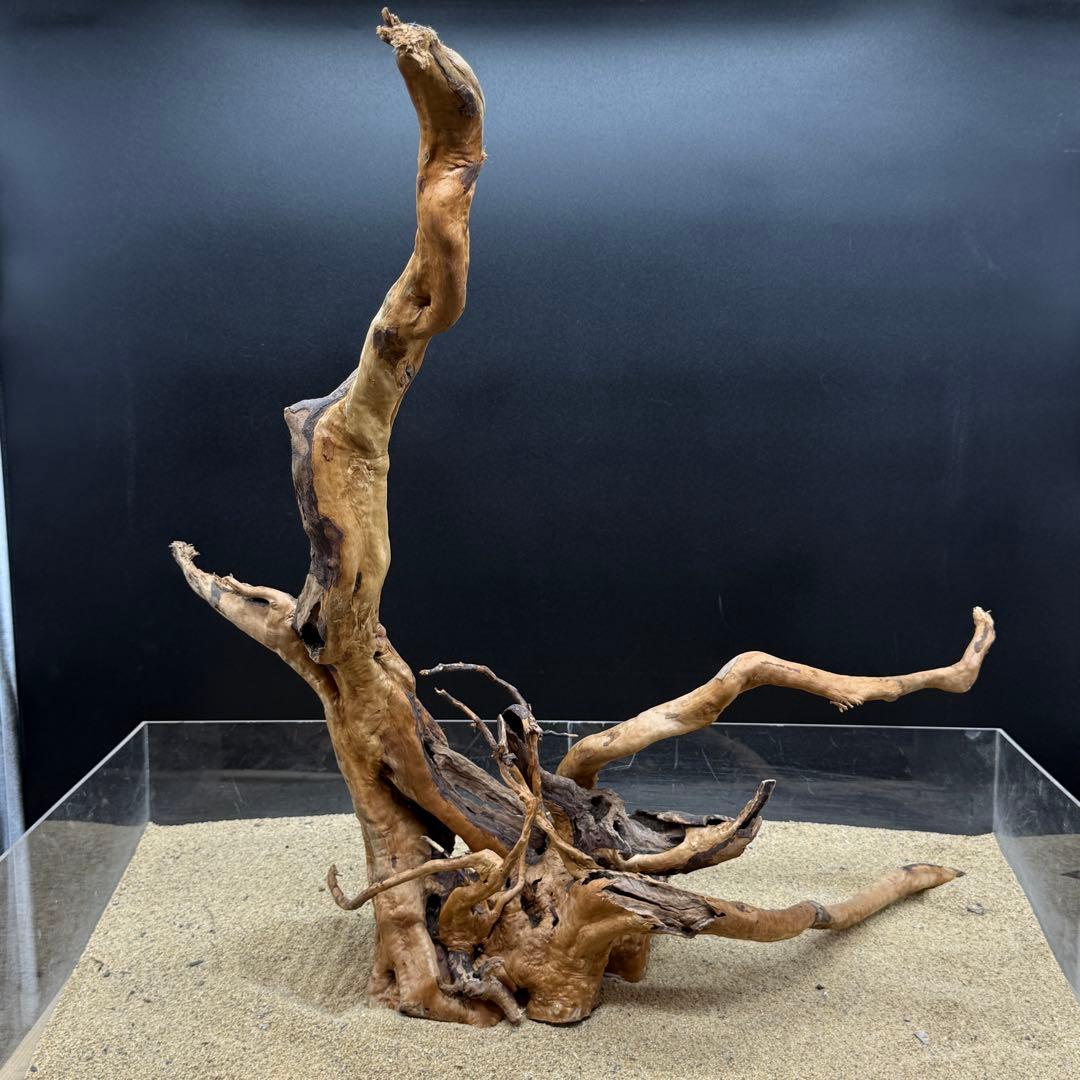 MDW-6908 特大ブランチウッド　流木　枝流木　アクアリウム