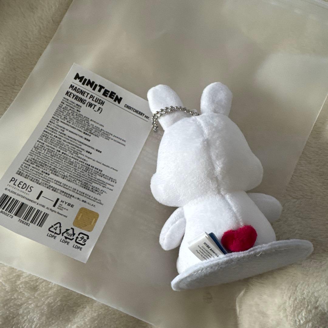アイドル MINITEEN MAGNET PLUSH KEYRING