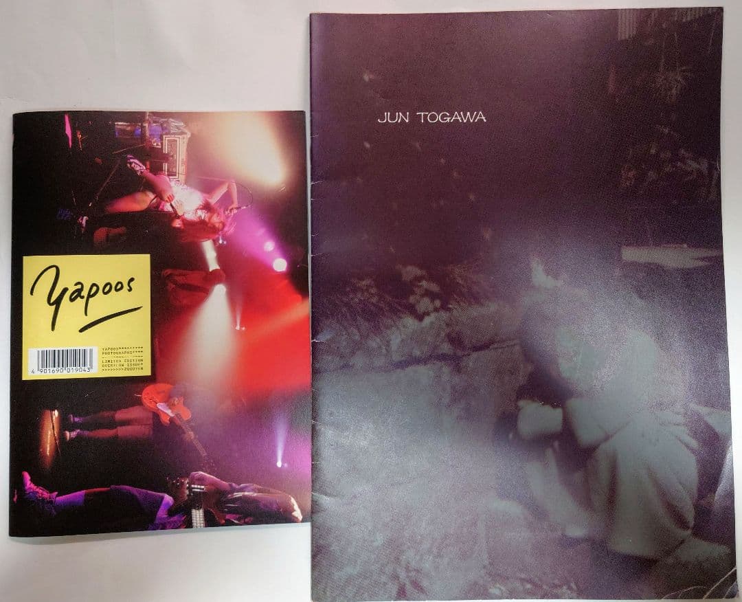 戸川純＆Yapoos 音楽ファッション関連パンフ：Fanzine：カタログ+α