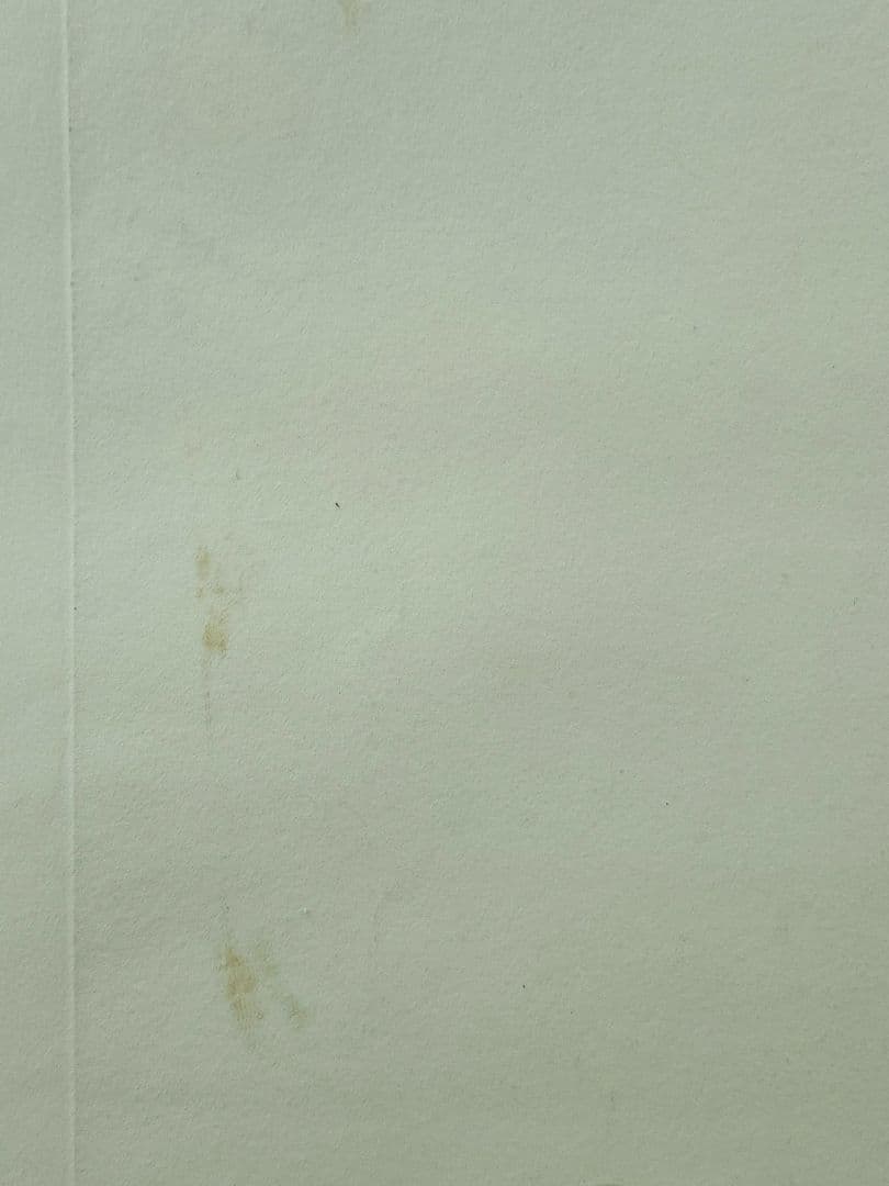 一原有徳　銅版画　EP 1978年 [DEN (2)] 59㎝x44.5cm