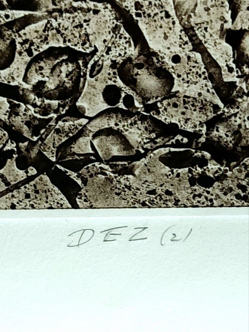 一原有徳　銅版画　EP 1978年 [DEN (2)] 59㎝x44.5cm