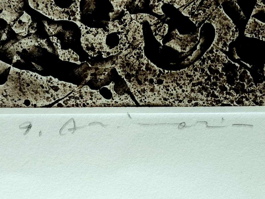 一原有徳　銅版画　EP 1978年 [DEN (2)] 59㎝x44.5cm