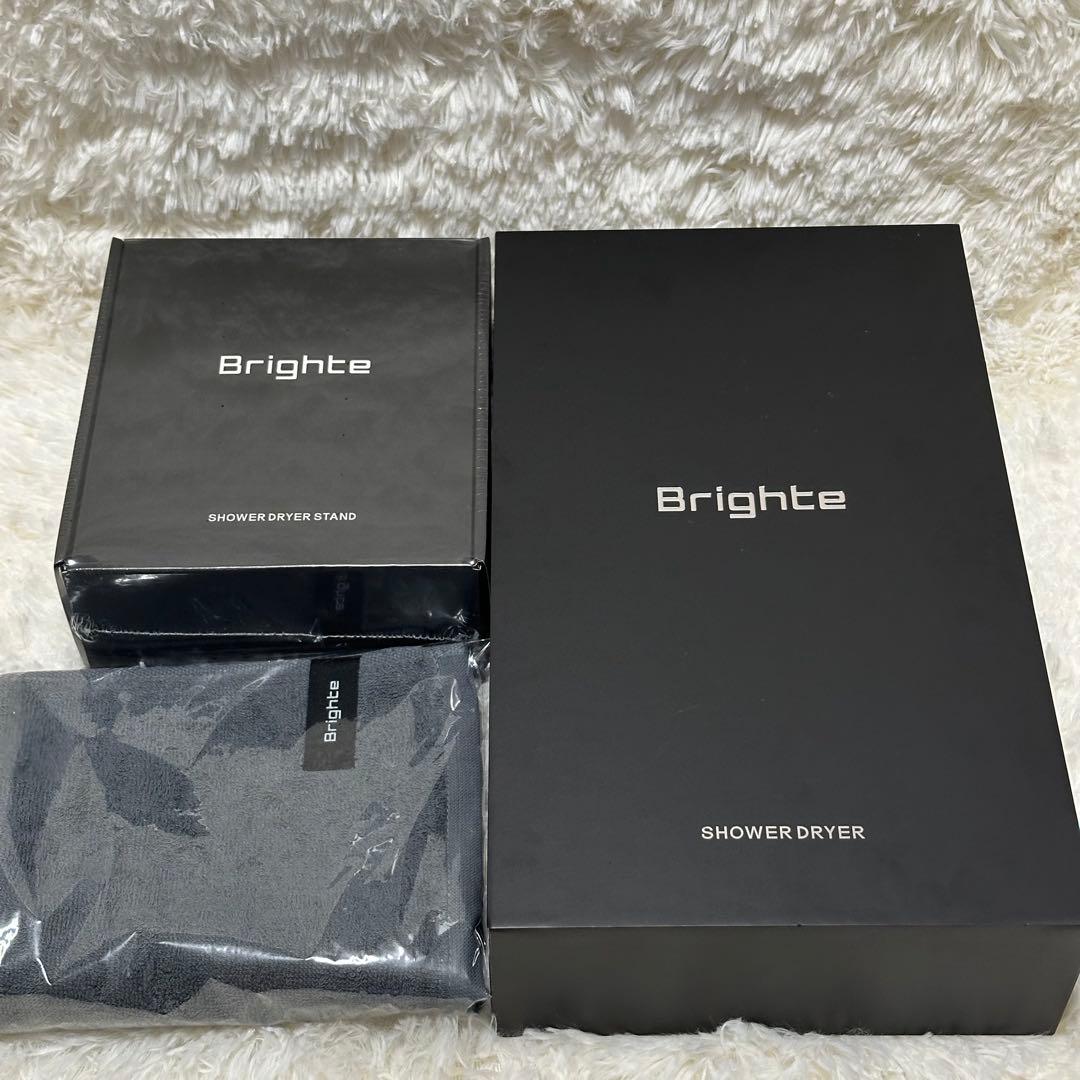 未使用Brighte SHOWER DRYER ブライト ドライヤー　スタンド