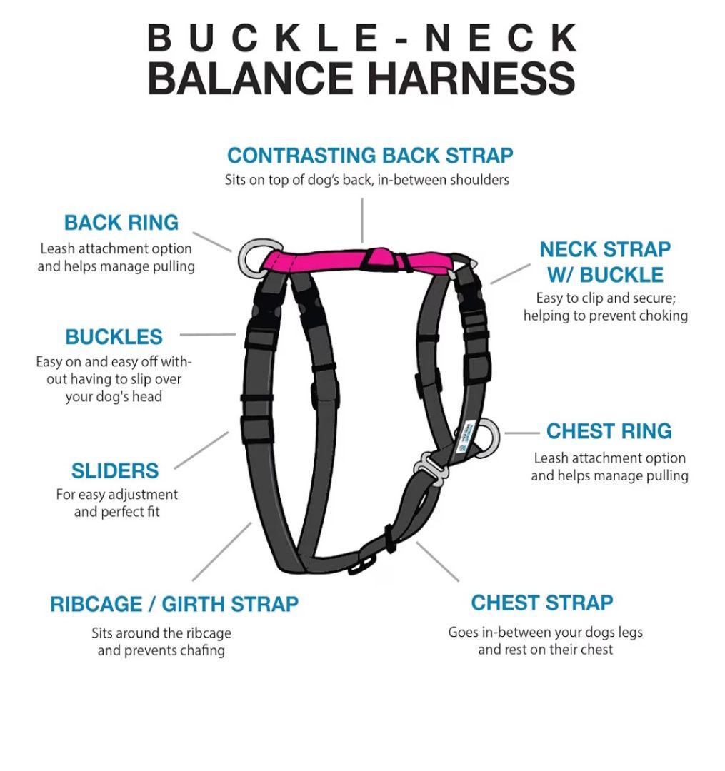 Blue9　バランスハーネス　XSサイズ　 ブラック・ピンク　新品未使用